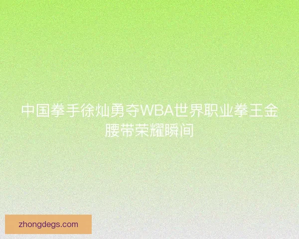 中国拳手徐灿勇夺WBA世界职业拳王金腰带荣耀瞬间