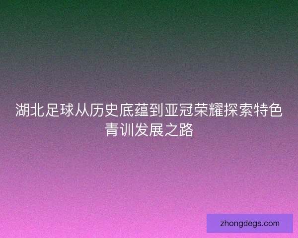 湖北足球从历史底蕴到亚冠荣耀探索特色青训发展之路