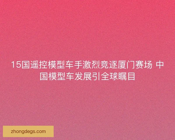 15国遥控模型车手激烈竞逐厦门赛场 中国模型车发展引全球瞩目