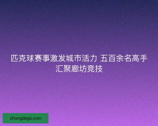 匹克球赛事激发城市活力 五百余名高手汇聚廊坊竞技